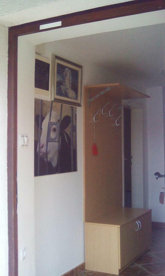 Apartma Pr' Vok 勒什 外观 照片
