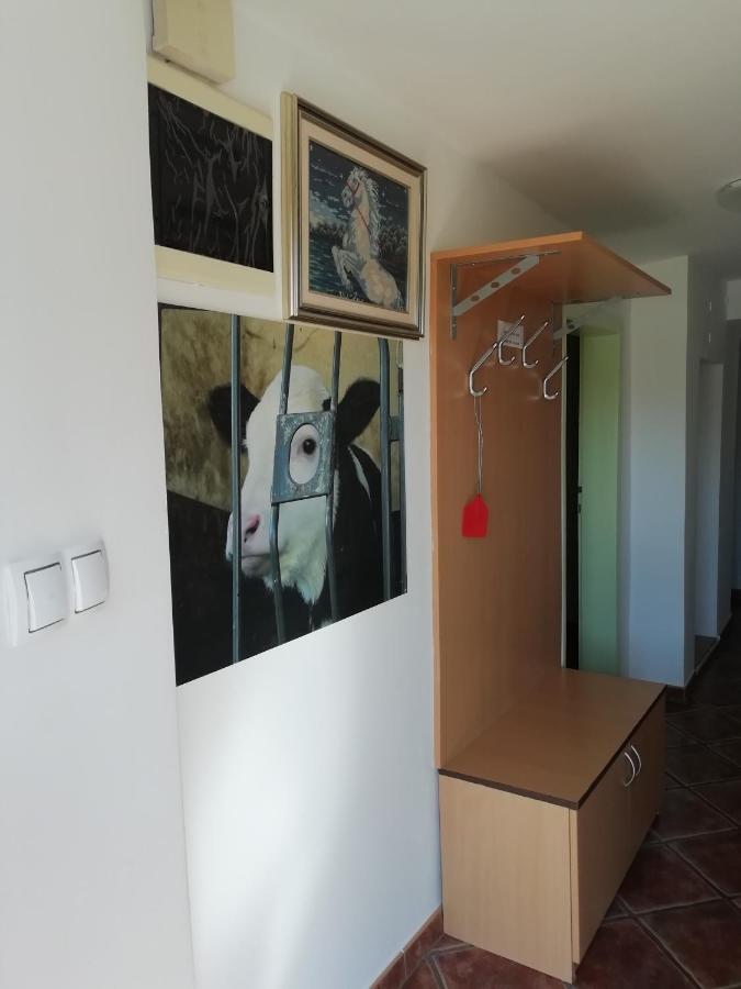 Apartma Pr' Vok 勒什 外观 照片